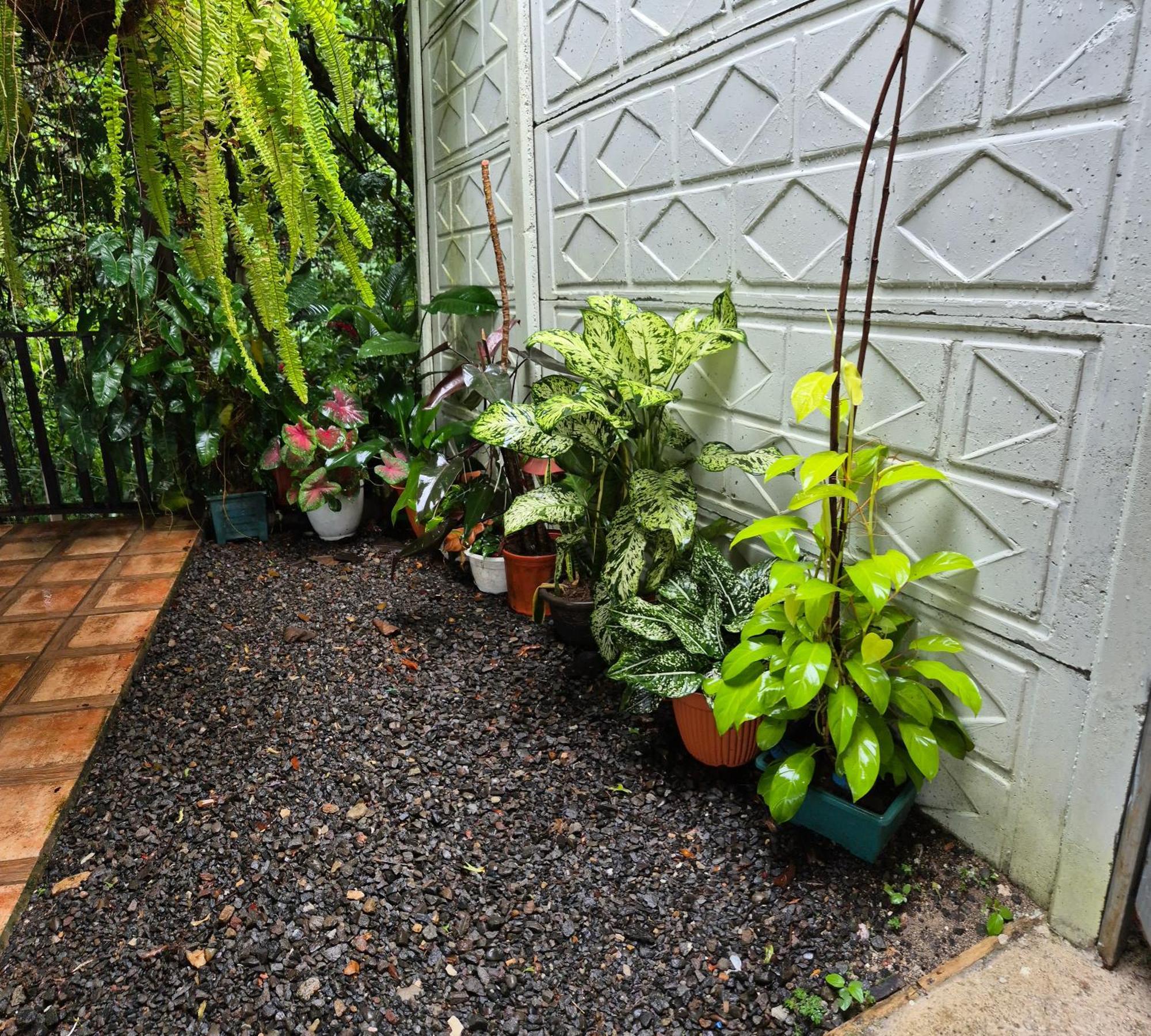Casa Arboleda-Full House By The River And Forest And Gardens San Francisco  외부 사진